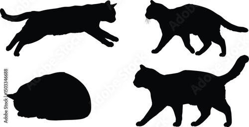 Elegant Cat Silhouettes Vector Illustration Pack