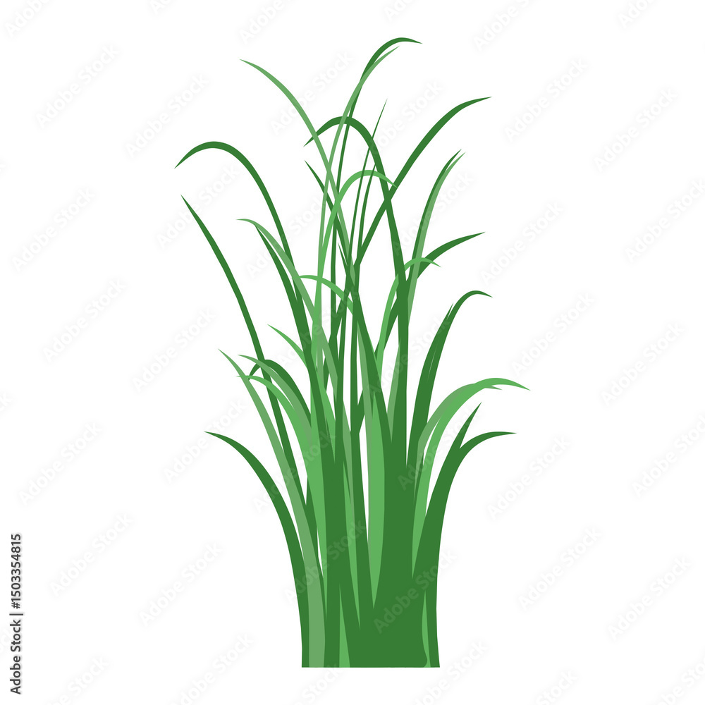 Obraz premium Realistic Green Grass Illustration with Transparent Background Element in Different Shapes and Styles for Landscape Design 