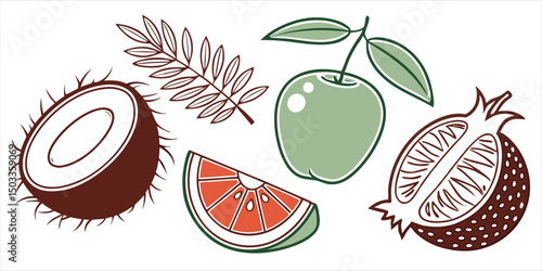 Fresh fruit and leaf illustration, set of coconut and pomegranate with green apple and leaf