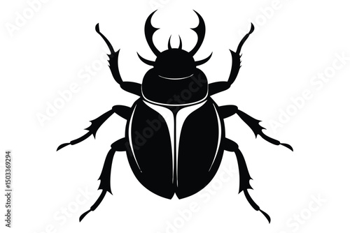 black and white beetle