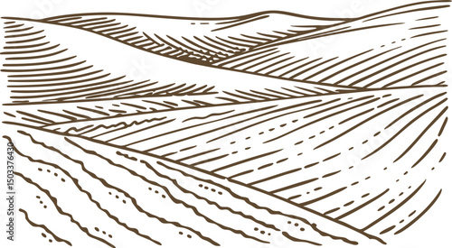 Rolling hills landscape line art with contour fields and abstract horizon