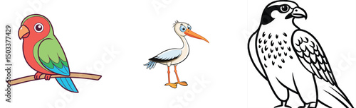 Cute cartoon birds vector illustration of parrot stork and falcon on white background