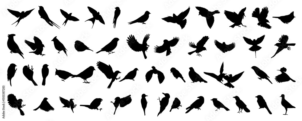 Wildlife. Bird silhouettes set. Vector illustration	
