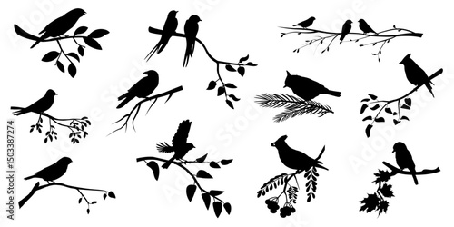Nature landscape with birds silhouettes. Birds on branches set. Vector illustration	
