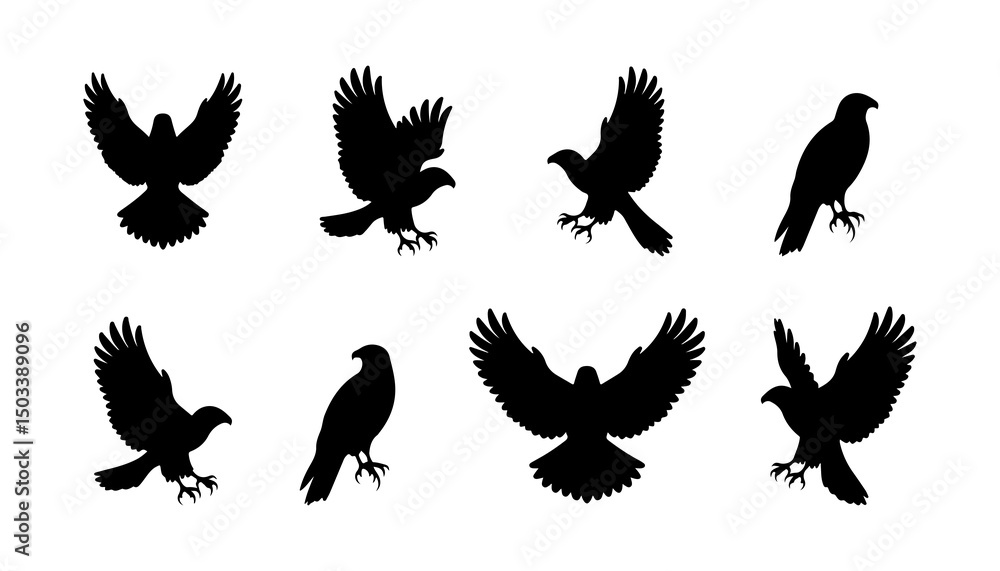 Obraz premium A set of flying eagle silhouettes in different poses On white background