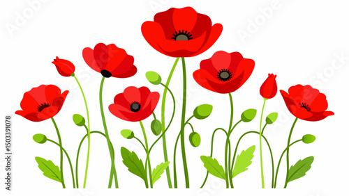 red poppies flower vector illustration on white background