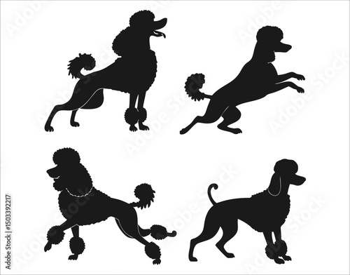 Elegant Poodle Dog Silhouettes Vector Set on White Background