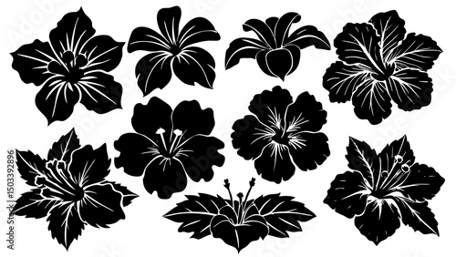 10 different hibiscus flower icon set silhouette