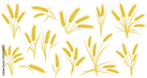 Golden wheat sheaves illustration on white background with various arrangements
