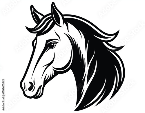 Horse Line Drawing Head