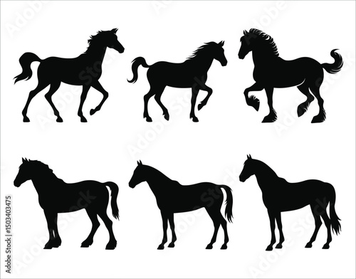 Horse Standing Still Clipart