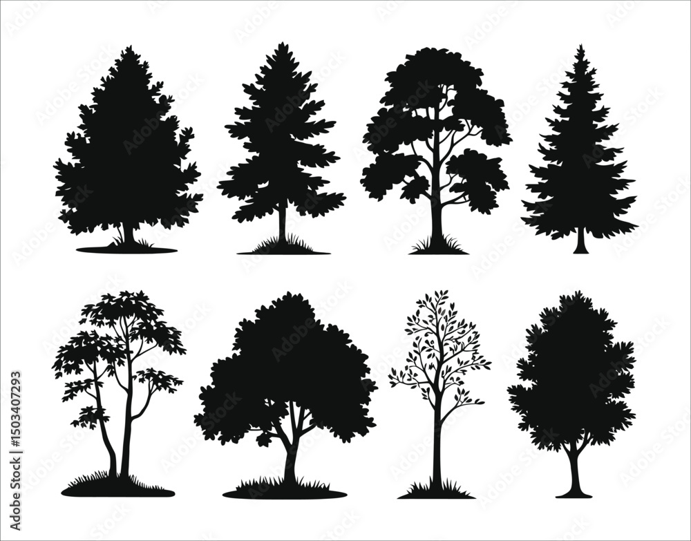 Fototapeta premium Birch Tree Silhouette for Vinyl Cutting
