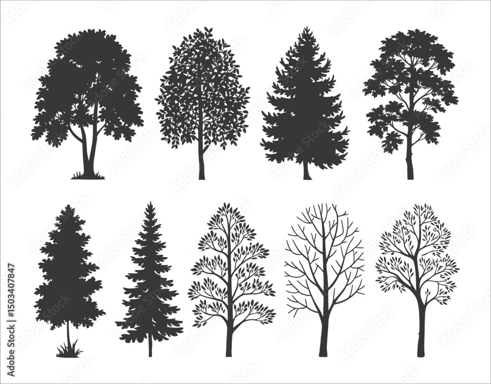 Fototapeta premium Birch Tree Silhouette with Moon