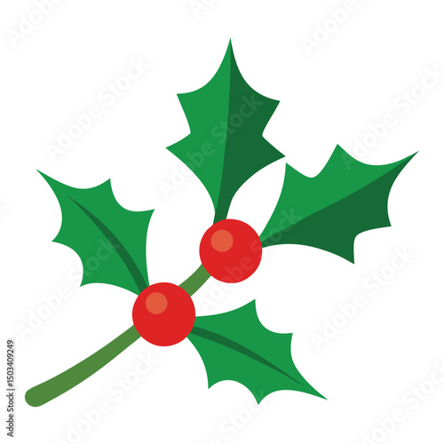 A christmas holly branch on the white background.eps