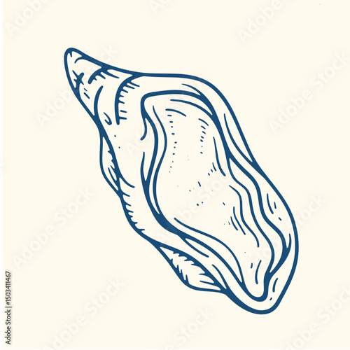  Set of hand drawn seashells drawing ink. Minimalist line art. Summer vacation design elements for trendy prints, label, menu cover. Tropical beach shells. Vector flat illustration.