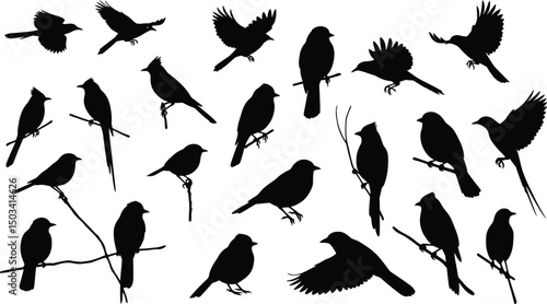 Black Bird Silhouettes: Diverse Songbirds & Small Birds Perched on Branches & Flying. Avian Wildlife Vector Icon Set. AI Generative
