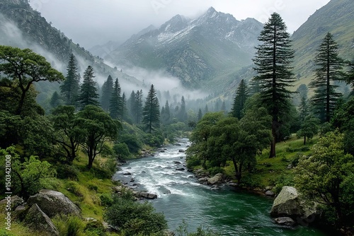 Misty Mountain River Valley with Dense Forest