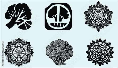 Vibrant Cauliflower Vegetable Floral Design Illustration
