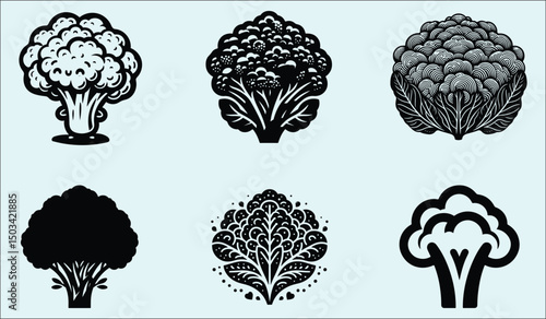 Vibrant Cauliflower Vegetable Floral Design Illustration