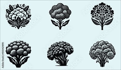 Vibrant Cauliflower Vegetable Floral Design Illustration