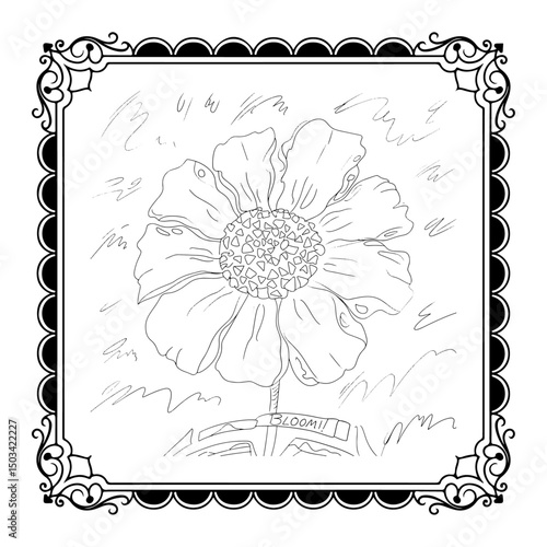 White flower shown on both white and black backgrounds with floral and nature elements
