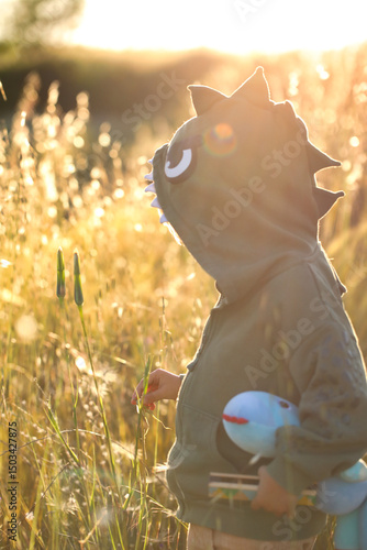 little boy blowing a dandelion in meadow