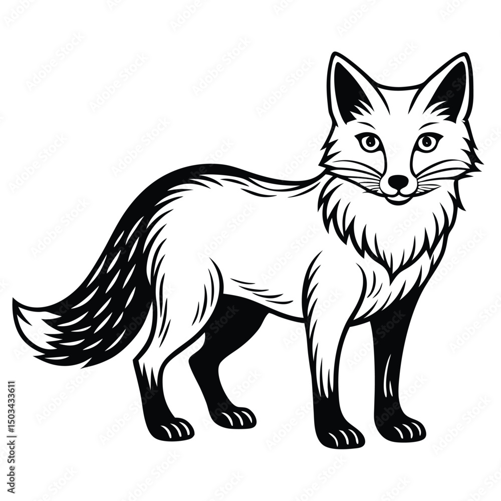 Red Fox vector illustration white background Red Fox vector illustration white background