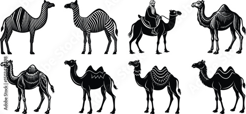 Man leading camels in a desert toward a futuristic city
set on a white background