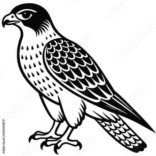 Red -Tailed Hawk vector illustration white background