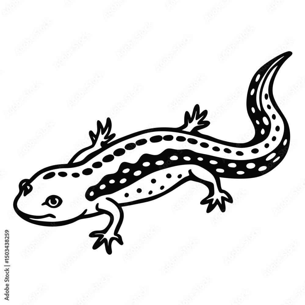 Fototapeta premium Red-Spotted Newt vector illustration white background