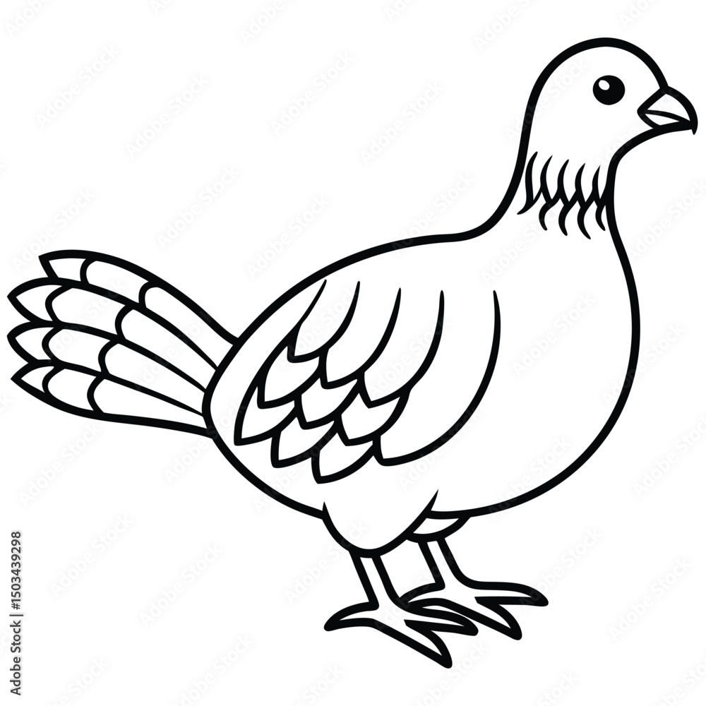 Fototapeta premium Ruffed Grouse vector illustration white background