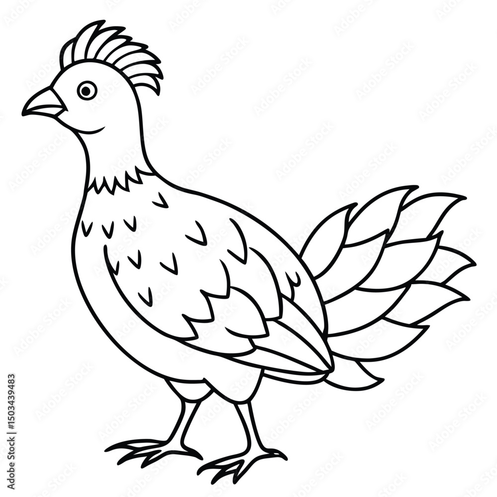 Ruffed Grouse vector illustration white background Ruffed Grouse vector illustration white background