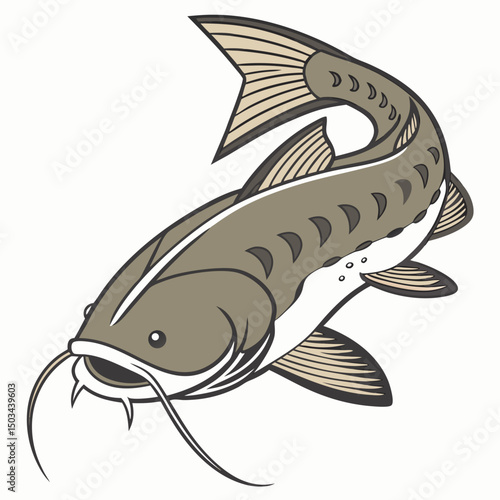 Vector illustration of the Goonch Catfish (Bagarius yarrelli), a formidable freshwater predator native to South Asia's rivers, known for its massive size and distinctive features.