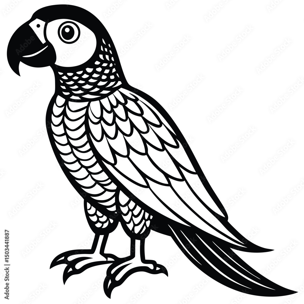 Fototapeta premium Scarlet Macaw vector illustration white background