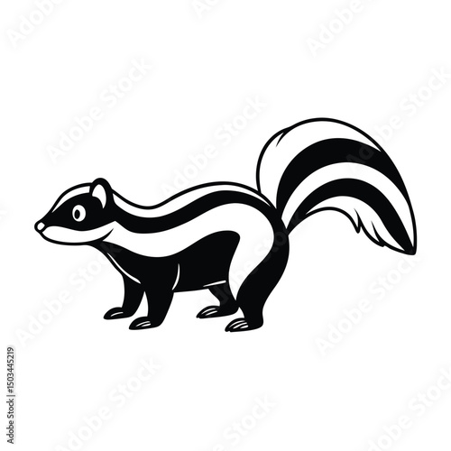 Striped Skunk vector illustration white background