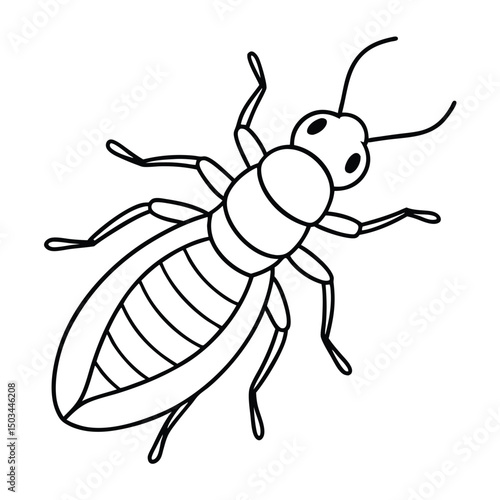Termite vector illustration white background