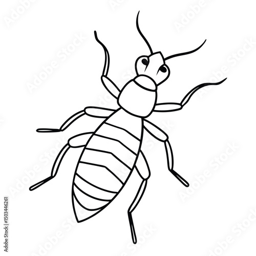 Termite vector illustration white background