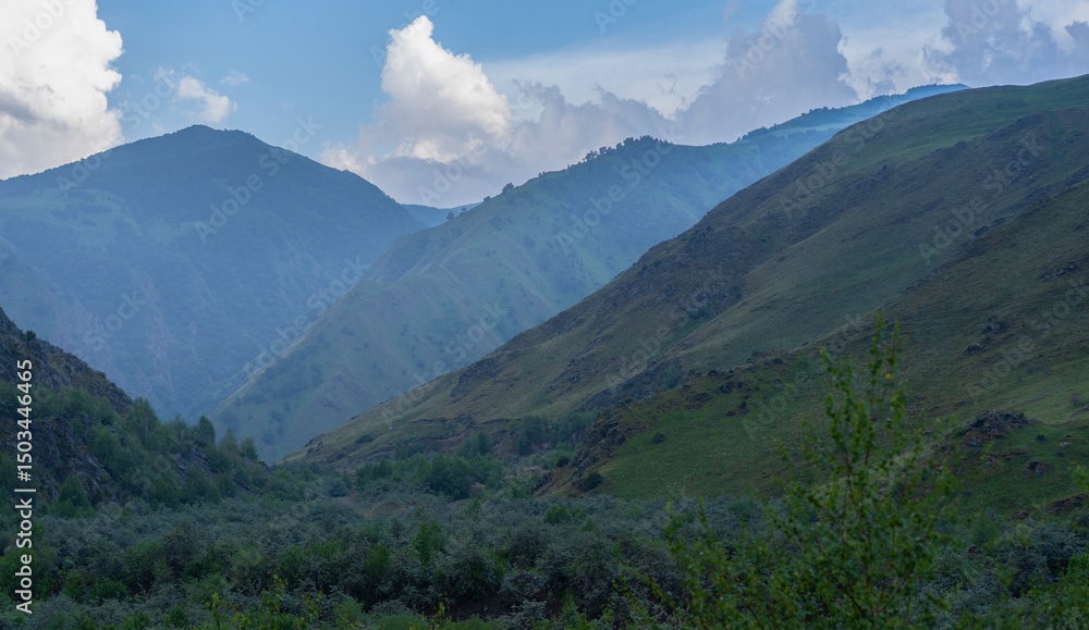 Fototapeta premium Beautiful mountain landscape with lush green valley and misty peaks during daytime