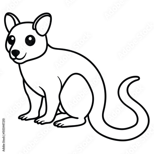 Tree Kangaroo vector illustration white background