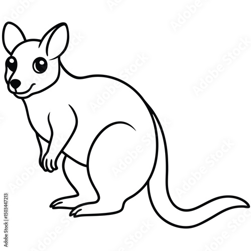 Tree Kangaroo vector illustration white background