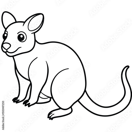 Tree Kangaroo vector illustration white background