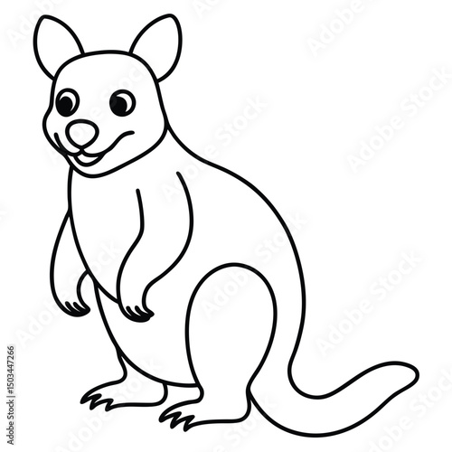 Tree Kangaroo vector illustration white background