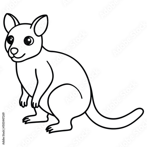 Tree Kangaroo vector illustration white background