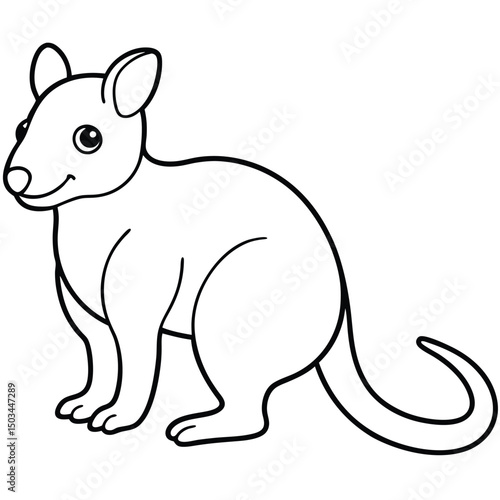 Tree Kangaroo vector illustration white background