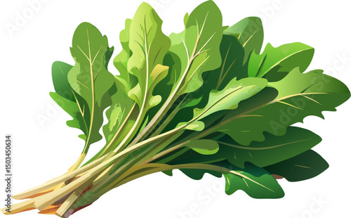 fresh arugula leaves on white background,  A bunch of fresh arugula on a white background 