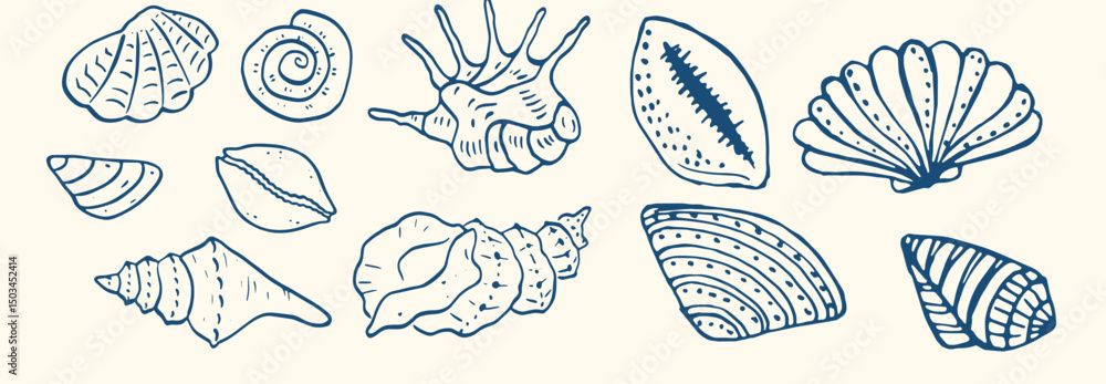 Set of hand drawn seashells drawing ink. Minimalist line art. Summer vacation design elements for trendy prints, label, menu cover. Tropical beach shells. Vector flat illustration. Set of hand drawn seashells drawing ink. Minimalist line art. Summer vacation design elements for trendy prints, label, menu cover. Tropical beach shells. Vector flat illustration.