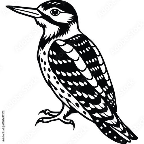 Wallpaper Mural Yellow Belleid Sapsucker vector illustration white background Torontodigital.ca
