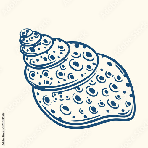 Set of hand drawn seashells drawing ink. Minimalist line art. Summer vacation design elements for trendy prints, label, menu cover. Tropical beach shells. Vector flat illustration.