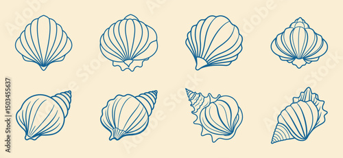 Set of seashells line icon, summer sea beach element aquatic animal
