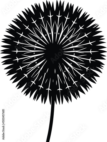 Dandelion Flower Silhouette with Puffball Head